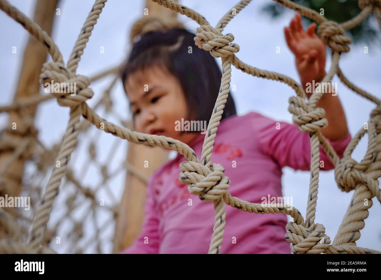active, activity, adorable, adventure, asia, asian, baby, balance, beautiful, blur, brave, cable, cheerful, child, childhood, climbing, course, cute, Stock Photo