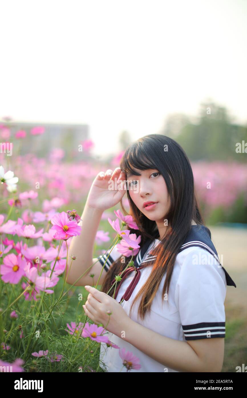 Portrait of Japanese school girl uniform with pink cosmos flower Stock Photo