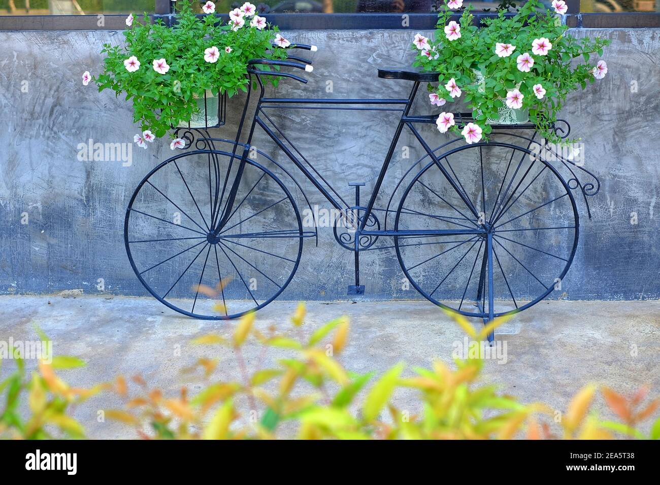 abstract, antique, architecture, art, background, basket, beautiful,  bicycle, bike, black, blue, classic, closeup, color, colorful, concept,  concrete Stock Photo - Alamy