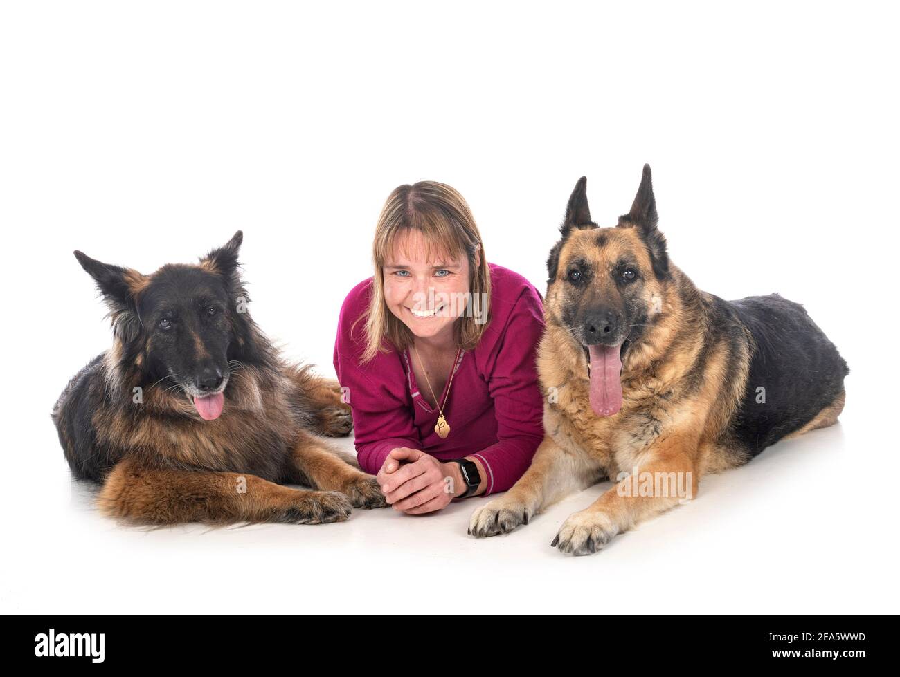 old german shepherds and woman in front of white background Stock Photo