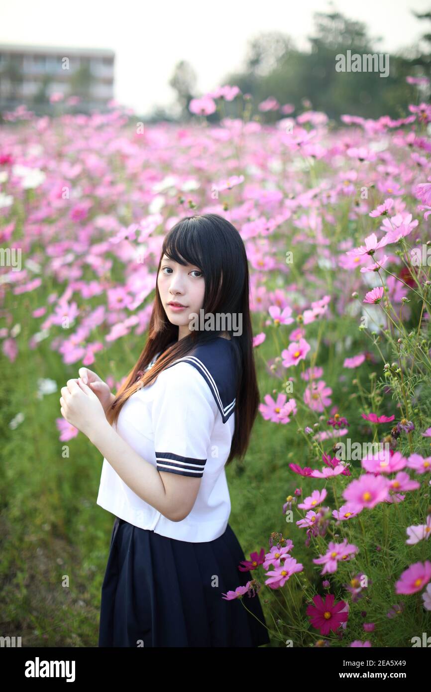 Portrait of Japanese school girl uniform with pink cosmos flower Stock Photo