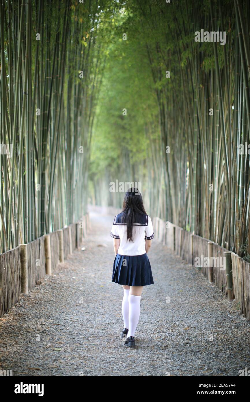 Portrait of beautiful Asian japanese high school girl uniform looking with bamboo forest background Stock Photo