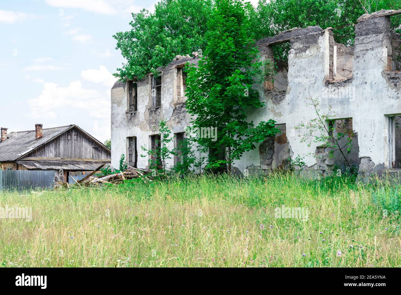 summer landscape with a ruined old building. trees grow from the ...