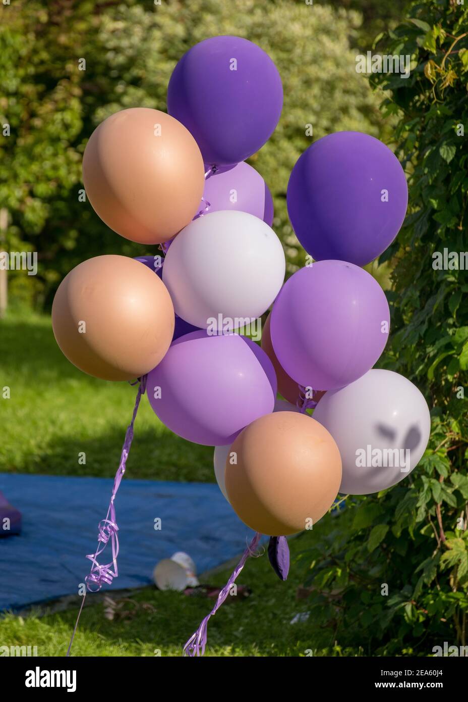 beautiful balloons of different colors for a children's party Stock