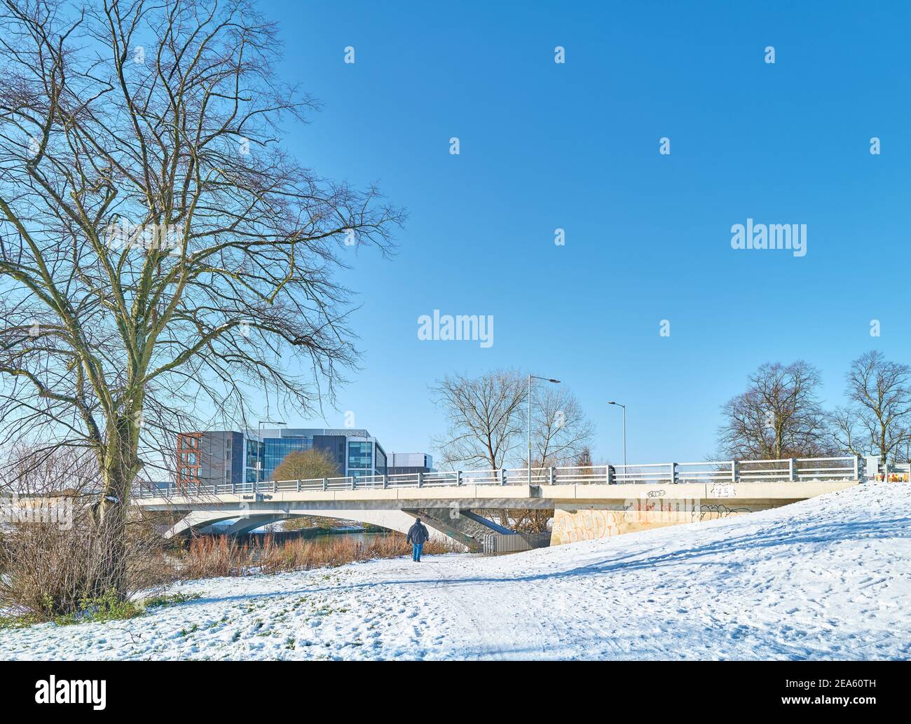 A Walk Along The River Nene Near Oundle Gave Me This Wonderful, If Fleeting, Moment Of Summer
