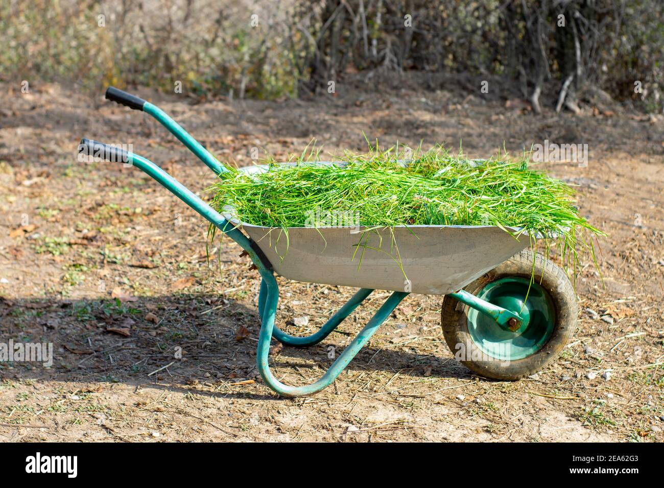 It's a summer day, the midday sun shines. View from the side. Stock Photo