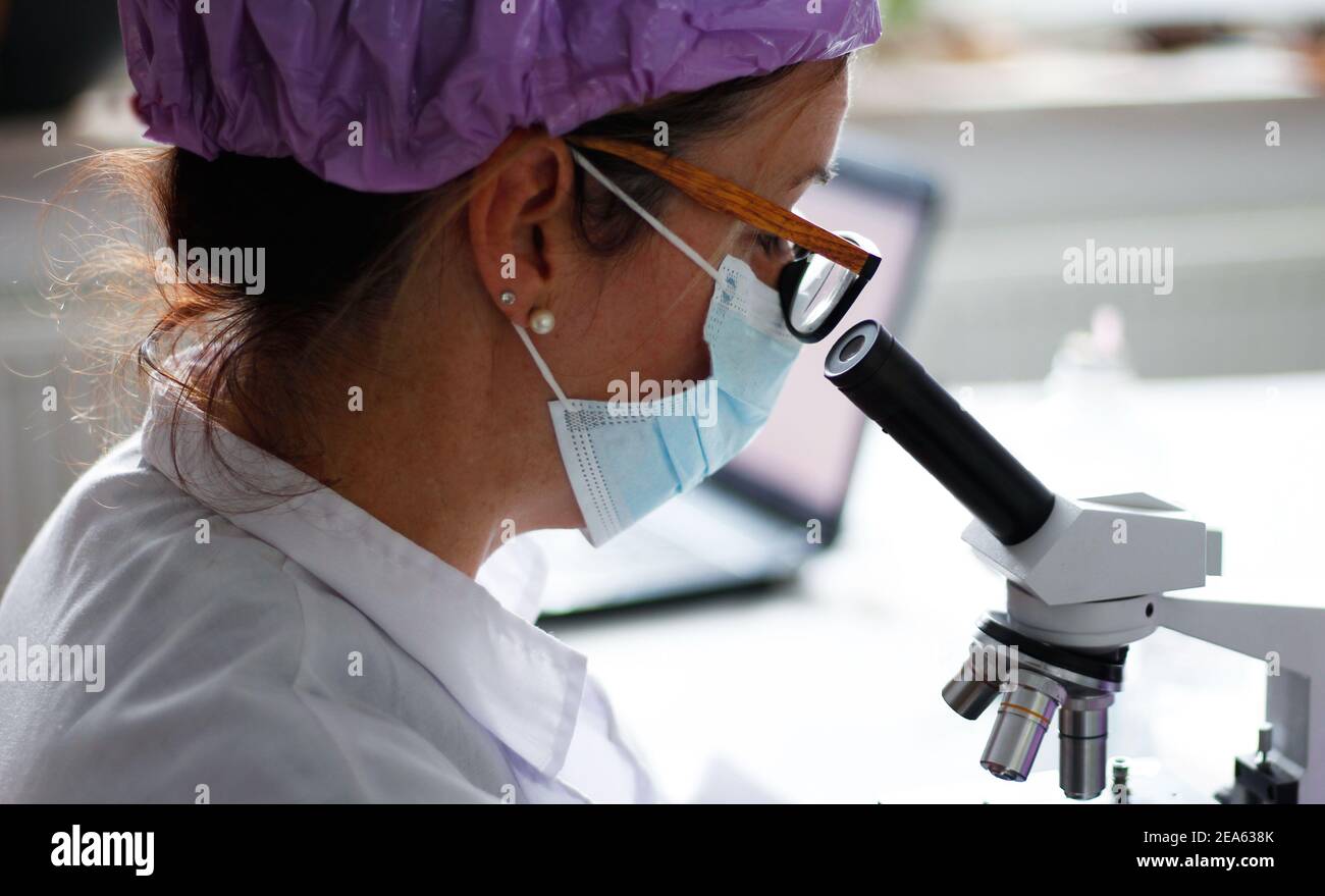 Female Scientist carrying out Research in a Laboratory Stock Photo