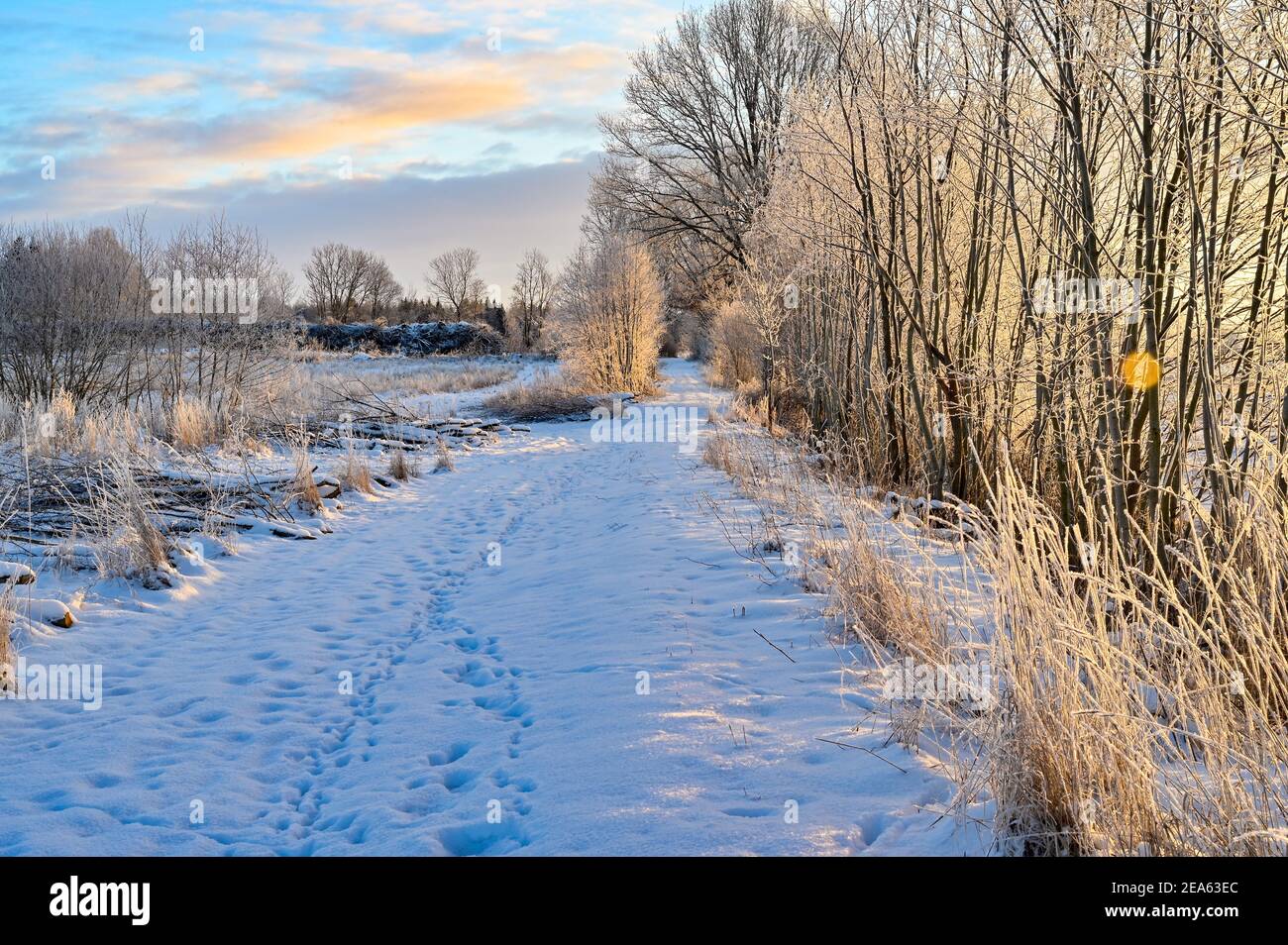 Sunrise over snow covered field hi-res stock photography and images - Alamy