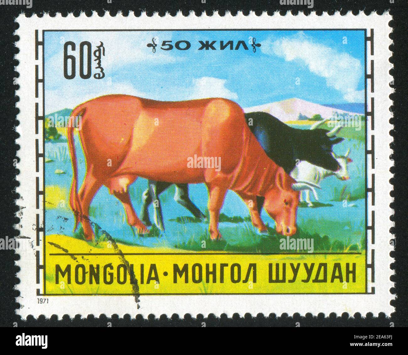 Монгольская корова