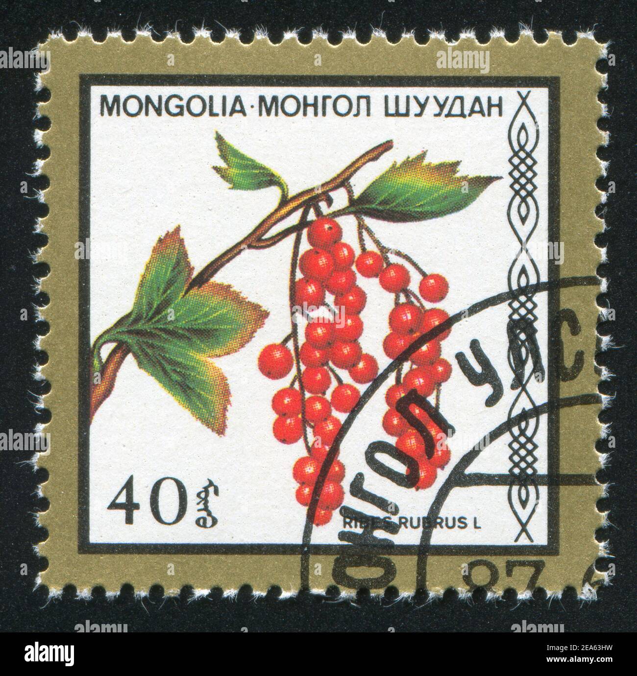 MONGOLIA - CIRCA 1987: stamp printed by Mongolia, shows Cranberry