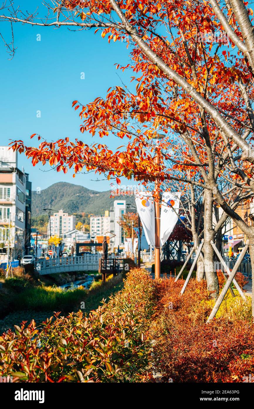 Haecheon Hangil movement theme street at autumn in Miryang, Korea Stock Photo