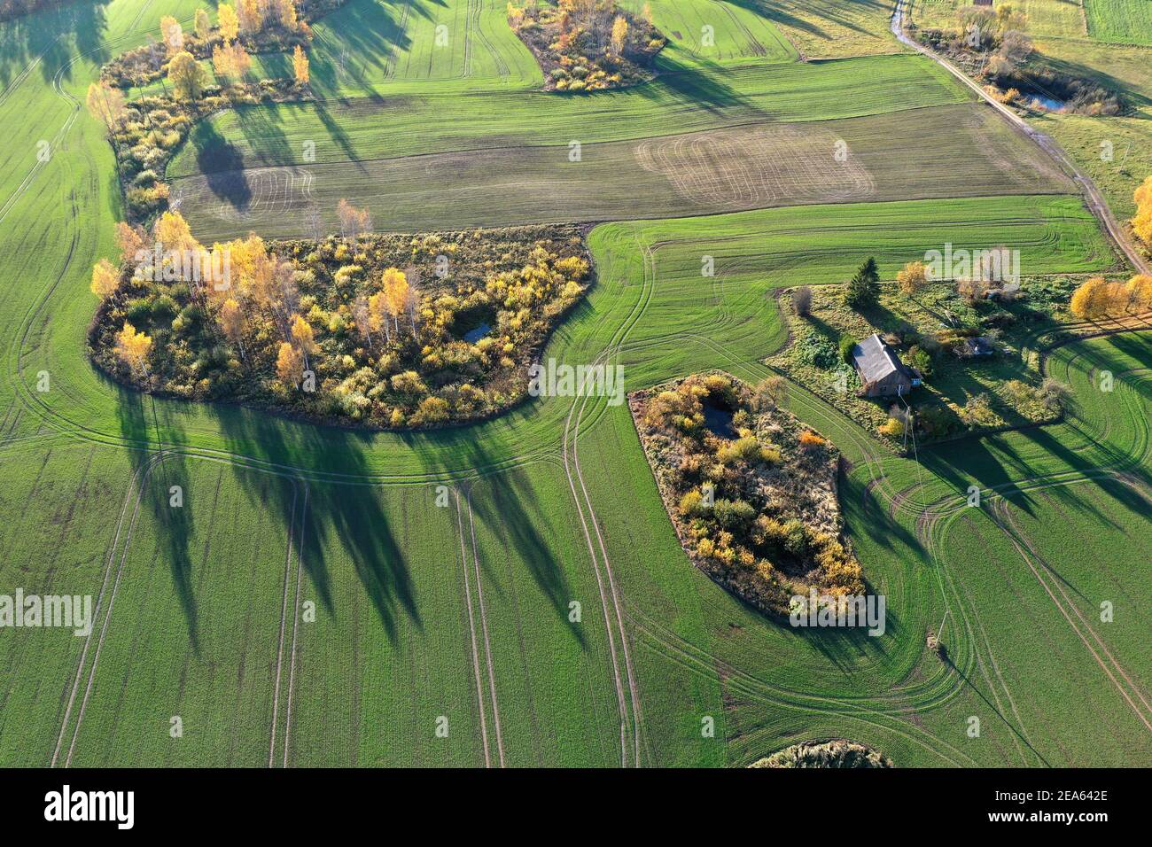 autumn landscape with fields, groves and old homestead, aerial Stock Photo