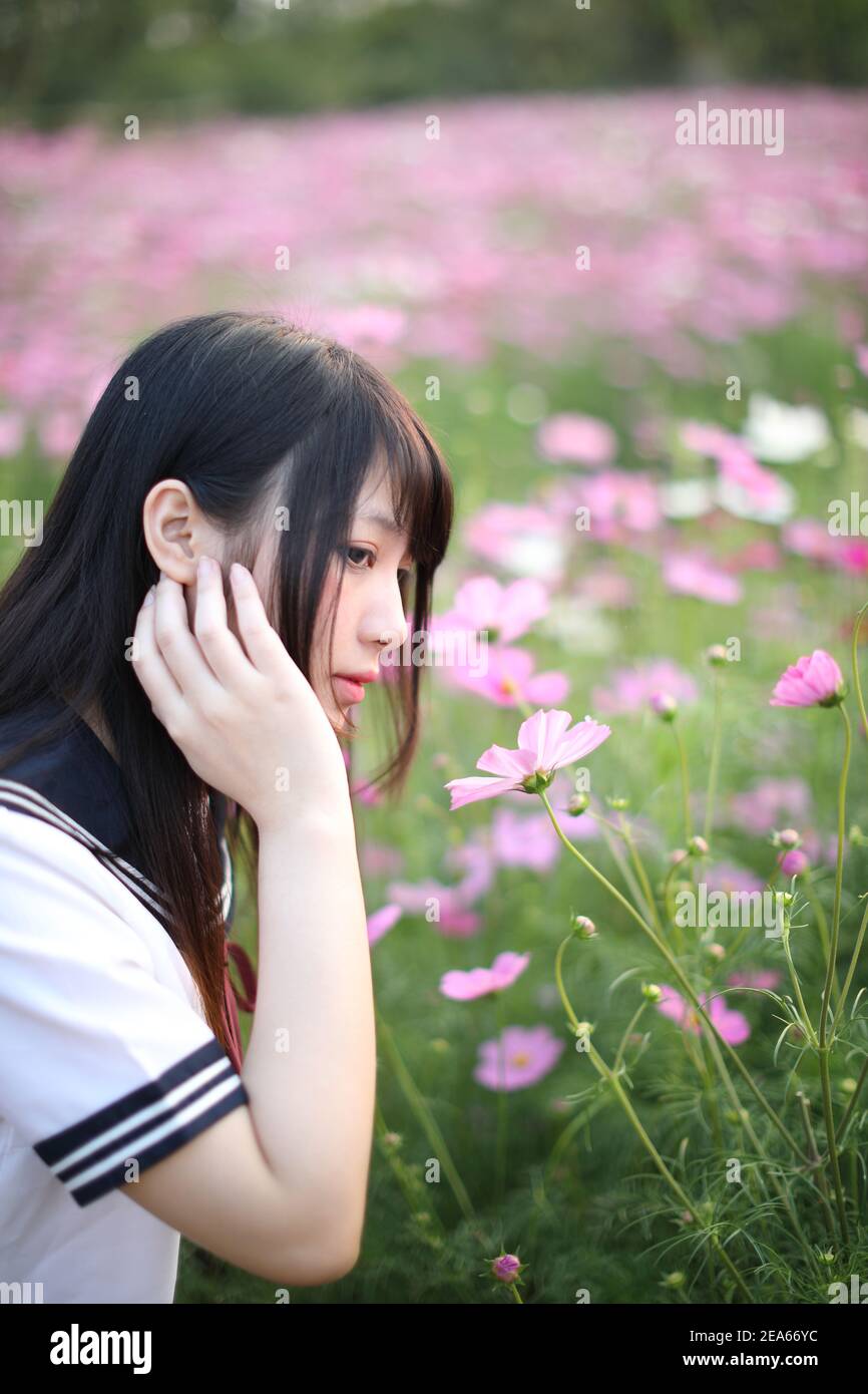 Portrait Of Japanese School Girl Uniform With Pink Cosmos Flower Stock ...