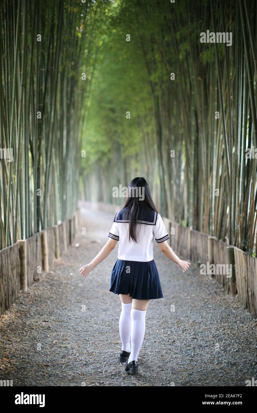Portrait of beautiful Asian japanese high school girl uniform looking with bamboo forest background Stock Photo