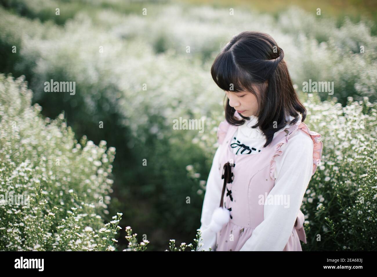 Portrait asian girl with little white flowers background Stock Photo