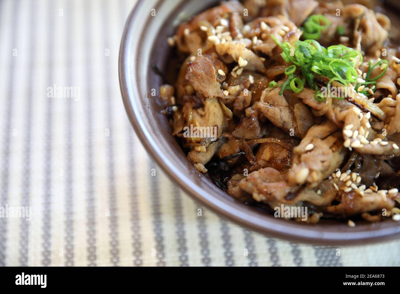 Gyudon , Japanese beef rice bowl in close up Japanese local food Stock