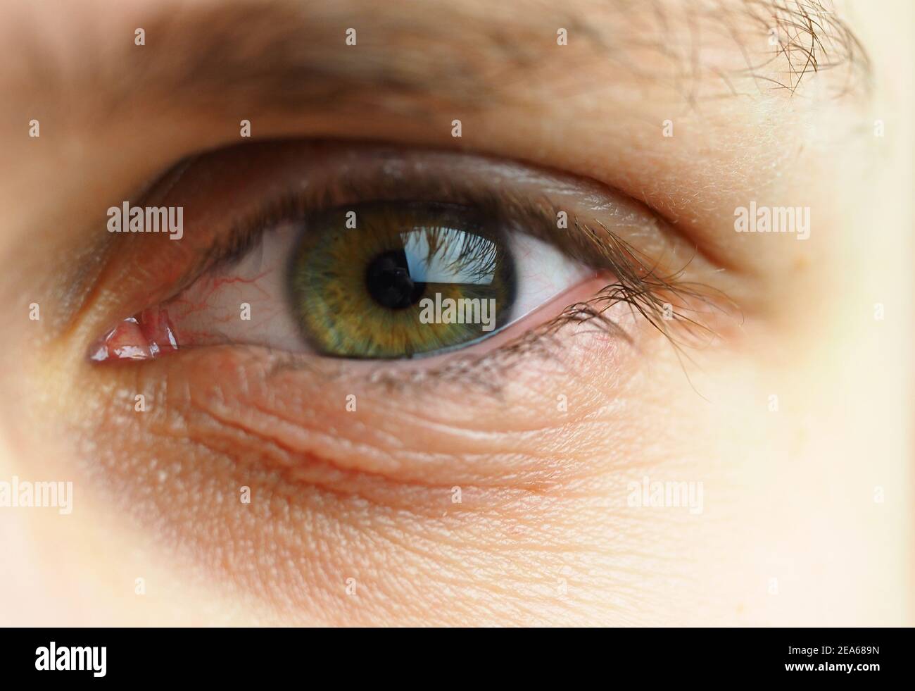 A man's eye. Macrophotography of the human eye. Stock Photo