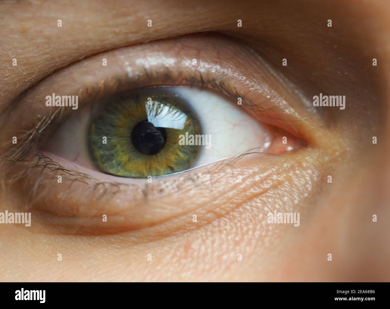 A man's eye. Macrophotography of the human eye. Stock Photo