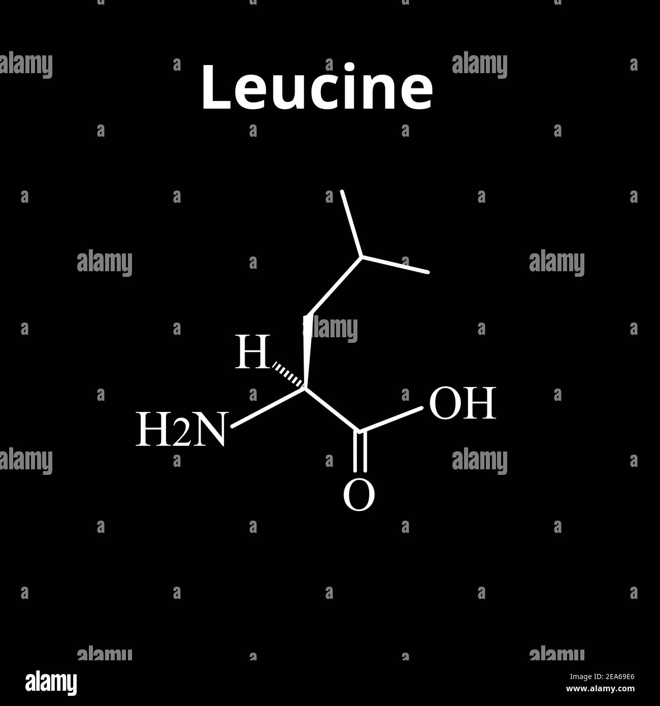 Amino acid Leucine. Chemical molecular formula of amino acid leucine. Vector illustration on isolated background Stock Vector