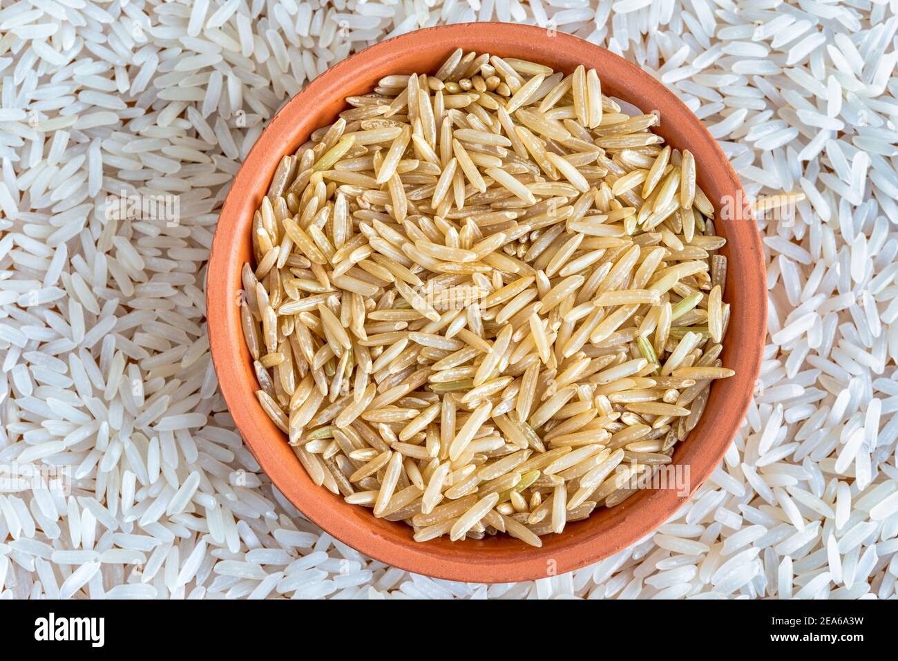 White and brown rice side by side, raw food Stock Photo