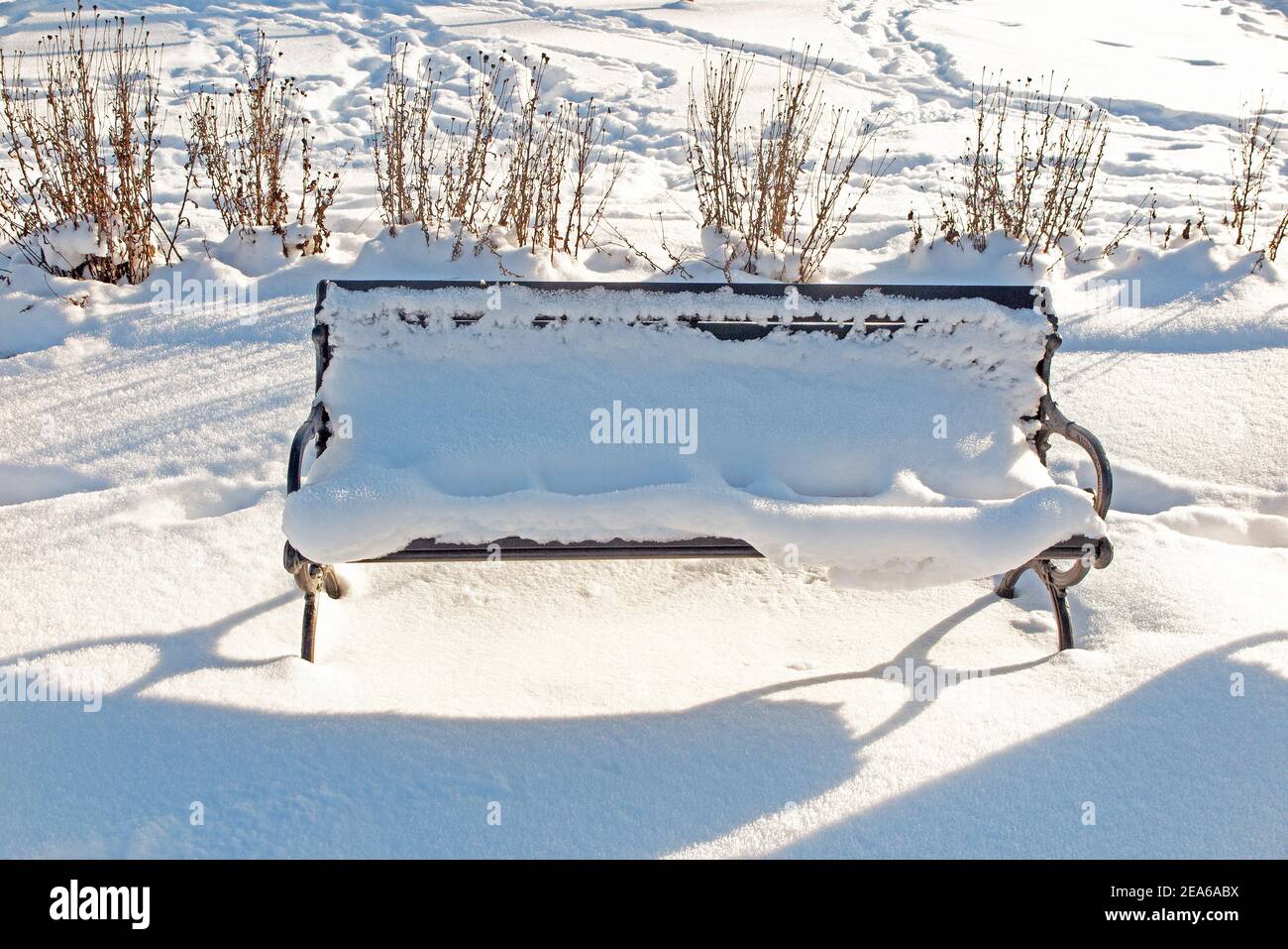 A bench in park covered in snow Photo: Bo Arrhed Stock Photo - Alamy