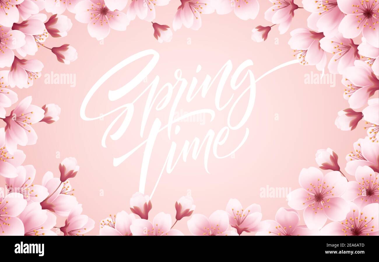 Spring time beautiful background with spring blooming cherry blossoms. Sakura branch with flying petals. Vector illustration Stock Vector