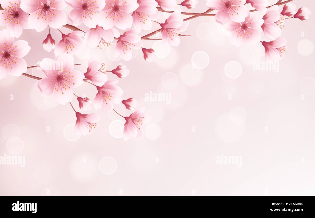 Spring time beautiful background with spring blooming cherry blossoms. Sakura branch with flying petals. Vector illustration Stock Vector