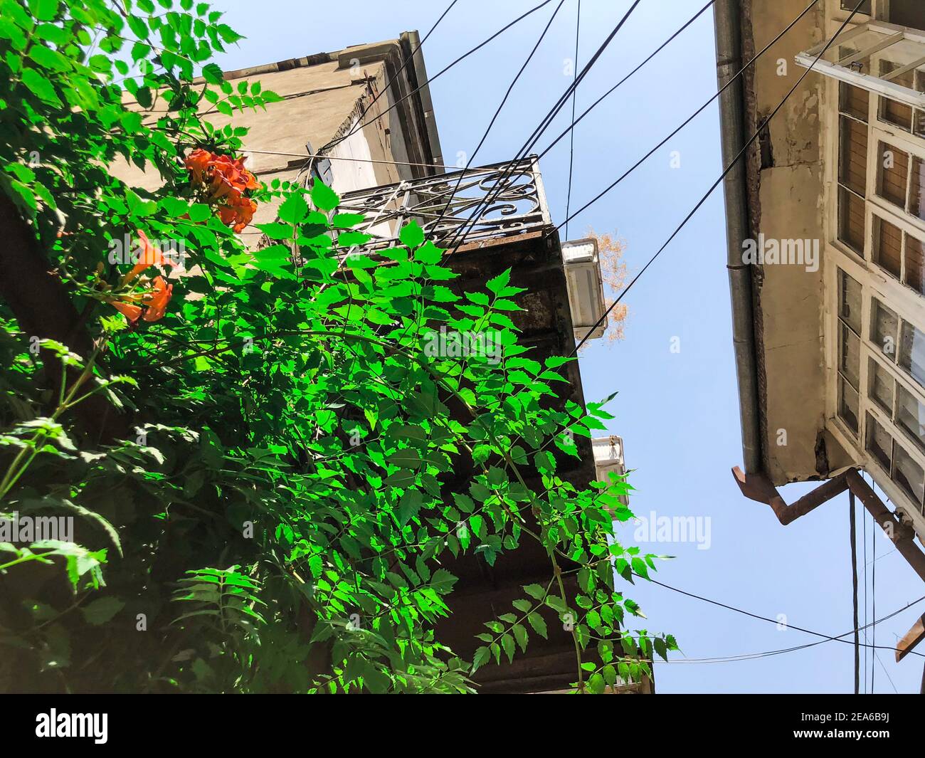 Outdoor, Streets, Old houses and Balconies Of Old Town Tbilisi,