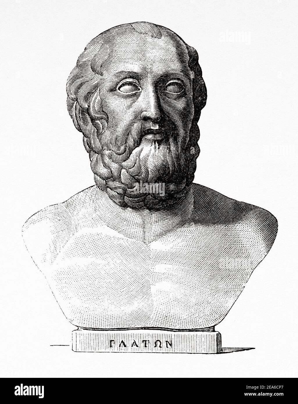 Plato - Short Biography Free Essay Example