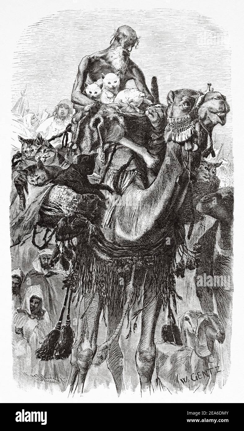 The father of cats in a camel caravan of pilgrims. Ancient Egypt History. Old 19th century engraved illustration from El Mundo Ilustrado 1879 Stock Photo