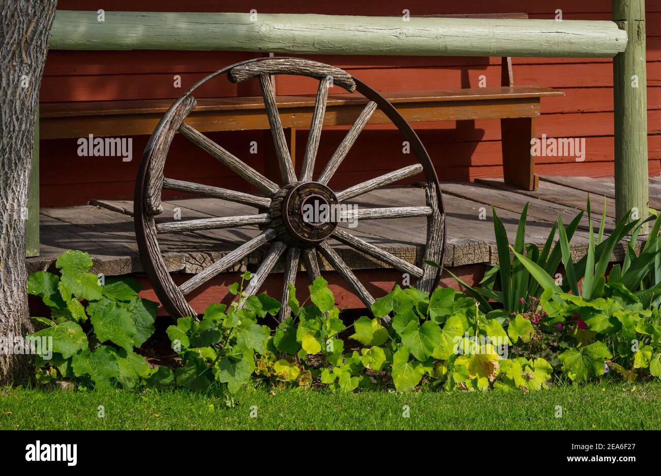Rustic decor in garden- wooden retro wheel Stock Photo - Alamy