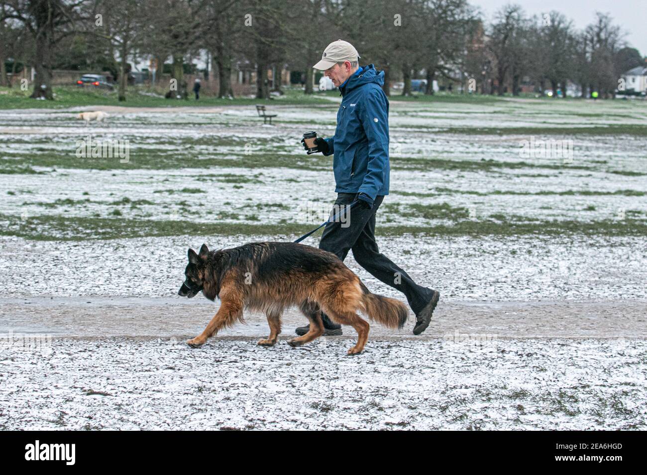 Wimbledon London Uk 8 February 21 A Man Walks His Dog In Freezing Cold Temperatures This Morning After Overnight Snow Falls On Wimbledon Common The Met Office Has Issued Yellow Snow