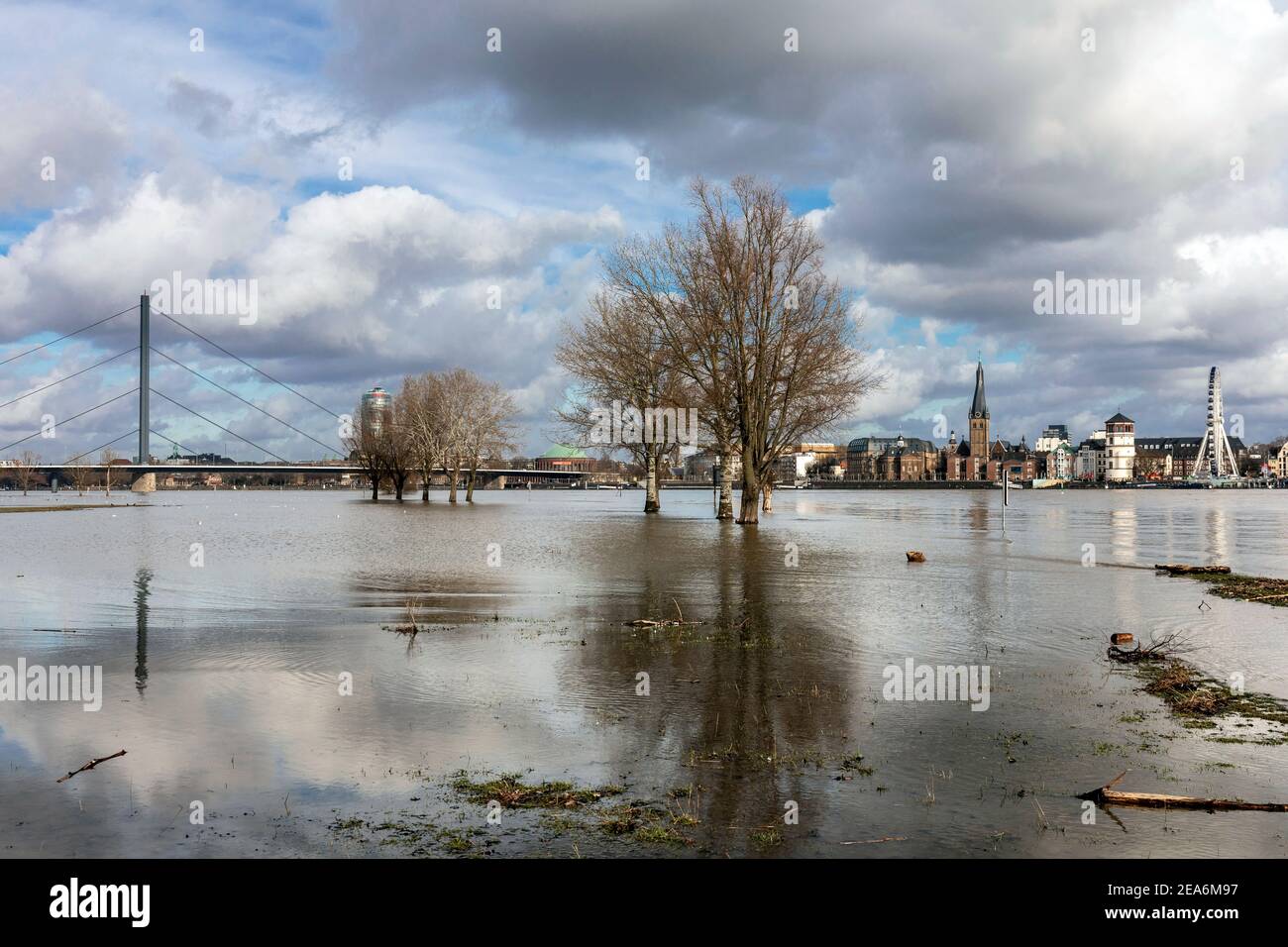 Flood on the Rhine in Dusseldorf on the Oberkasseler meadows, view of