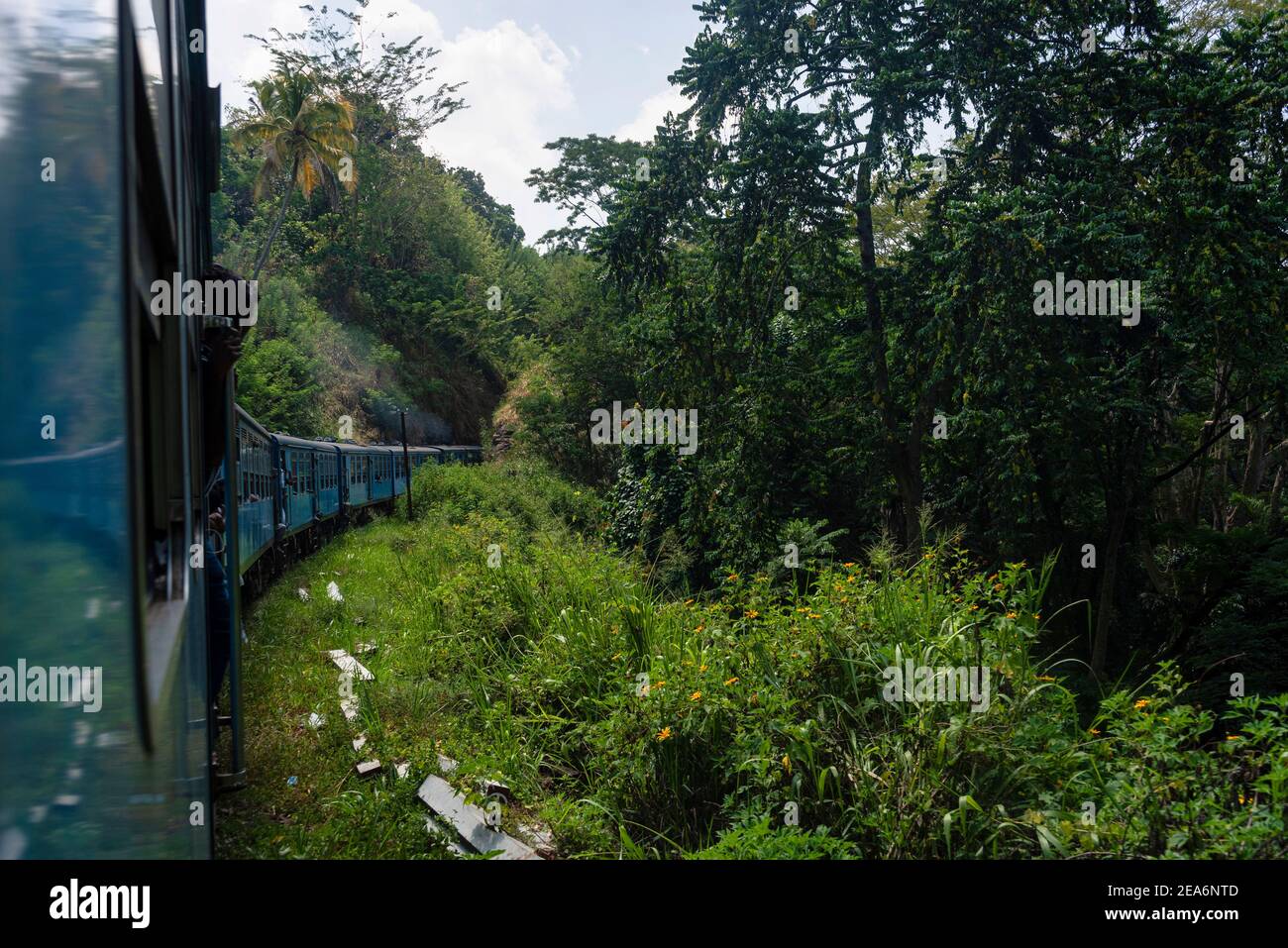 Blue Train of the Sri Lanka Railway, Scenic train journey through lush green forest in the hills Stock Photo