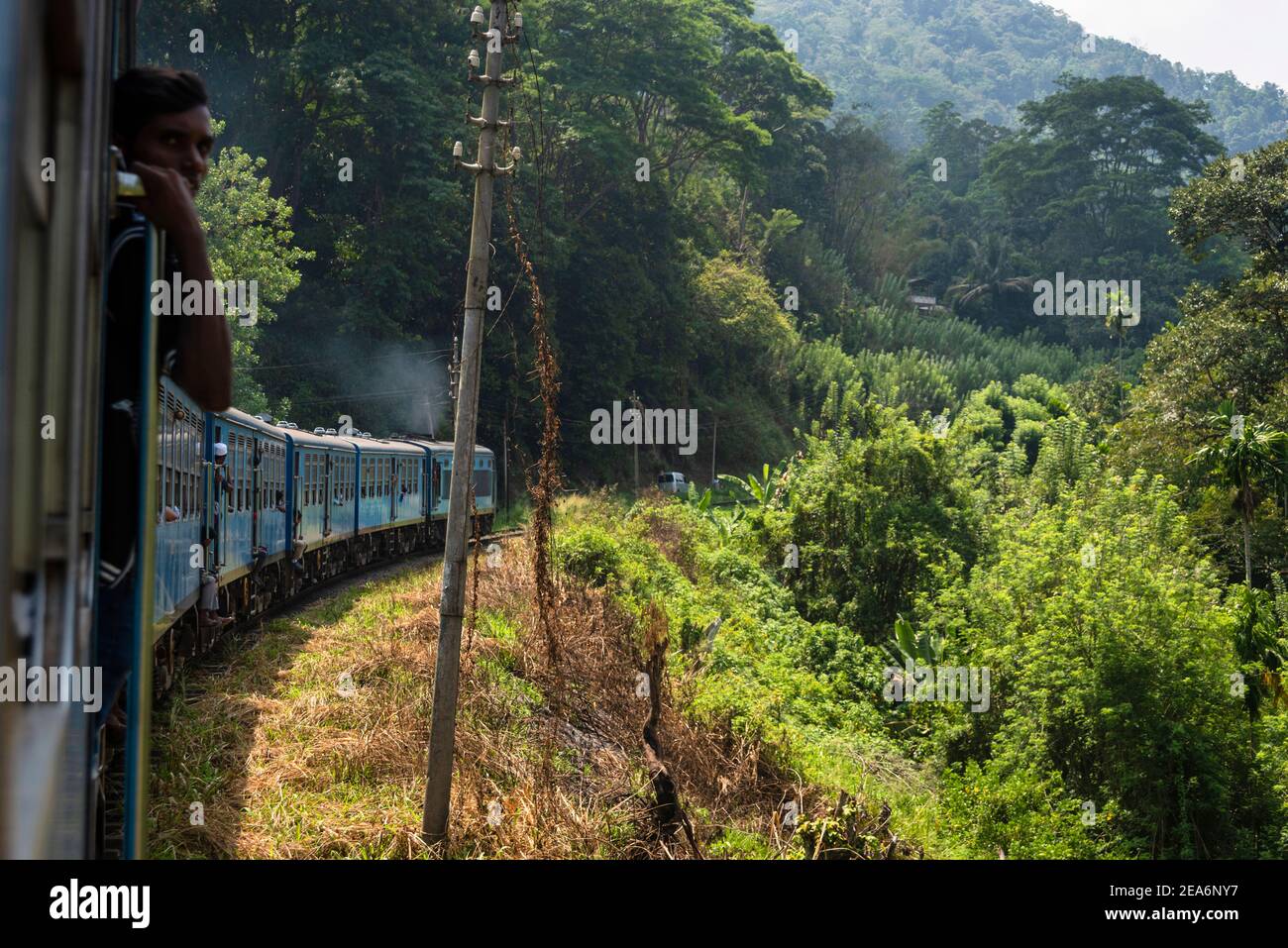 Blue Train of the Sri Lanka Railway, Scenic train journey through lush green forest in the hills Stock Photo
