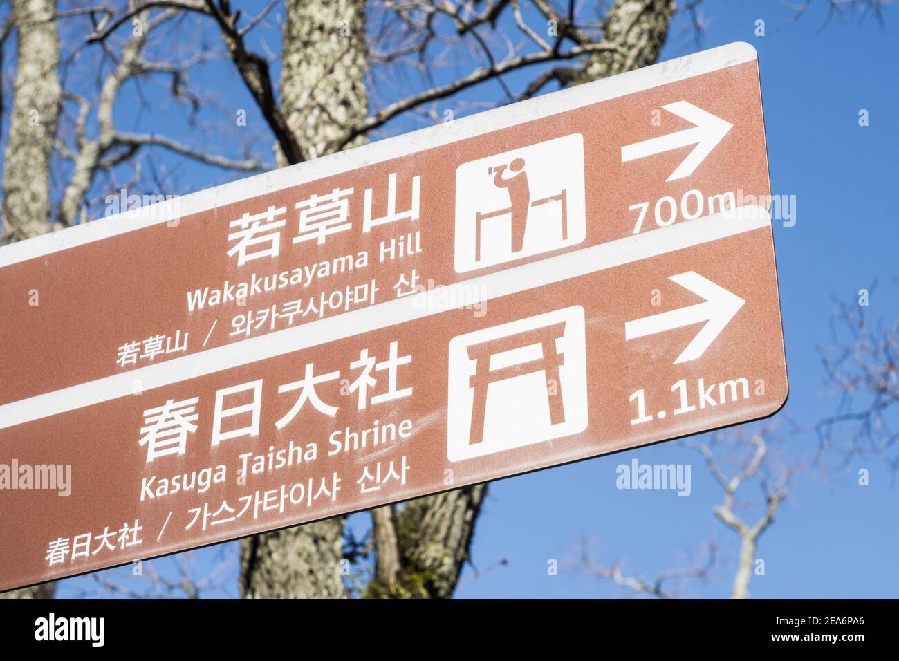 Brown direction sign posts to Wakakusayama Hill and Kasuga Grand Shrine in Nara, Japan on a sunny day Stock Photo