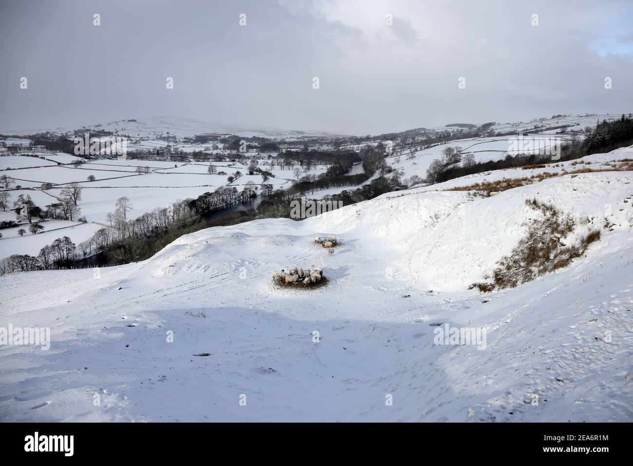 Middleton-in-Teesdale, County Durham, UK. 8th February 2021. UK Weather.  Snow blankets the ground near Middleton-in-Teesdale as the Beast from the East II begins to bite in northern England. Credit: David Forster/Alamy Live News Stock Photo