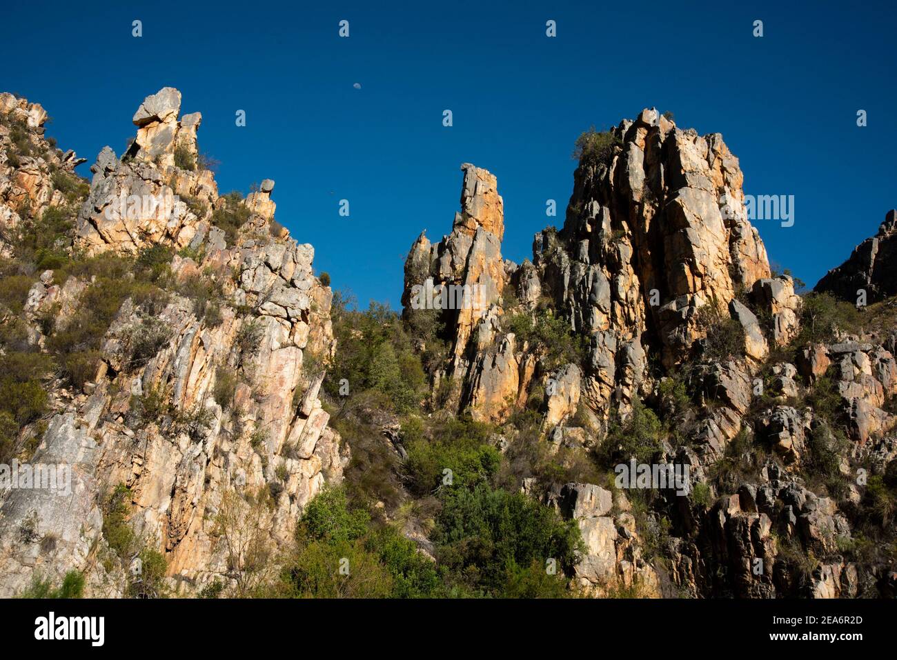 Scenery on the Cedar falls hike, Baviaanskloof, South Africa Stock Photo