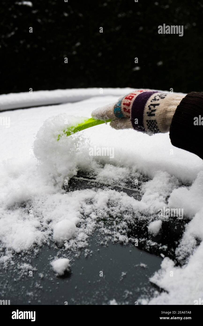 Vanuit Kaapstad: Tafelberg en Kaap de Goede Hoop Tour in Cape Town, image size:866x1390