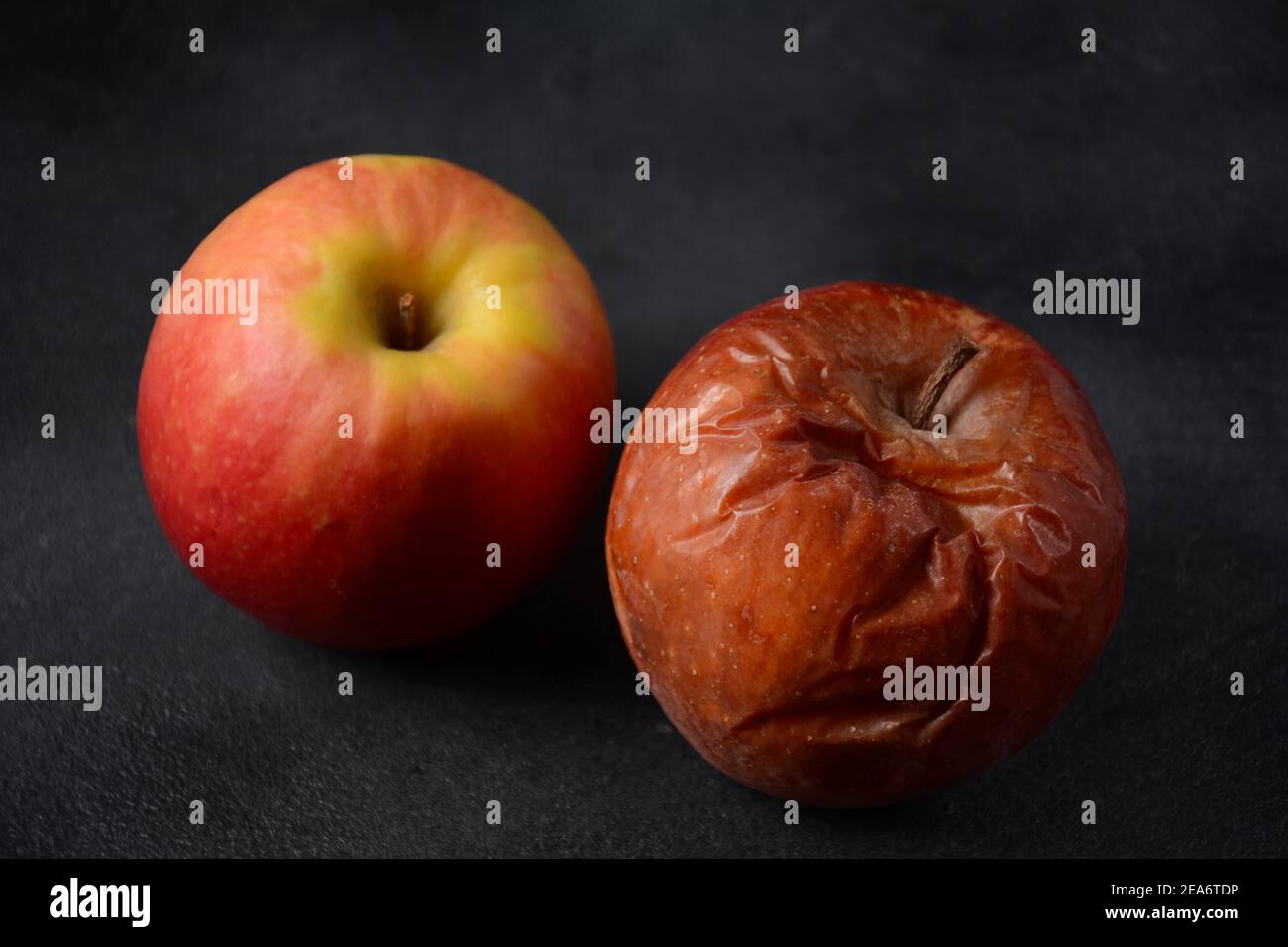 Rotten wrinkled skin apple and fresh apple on black background. Ugly food concept Stock Photo
