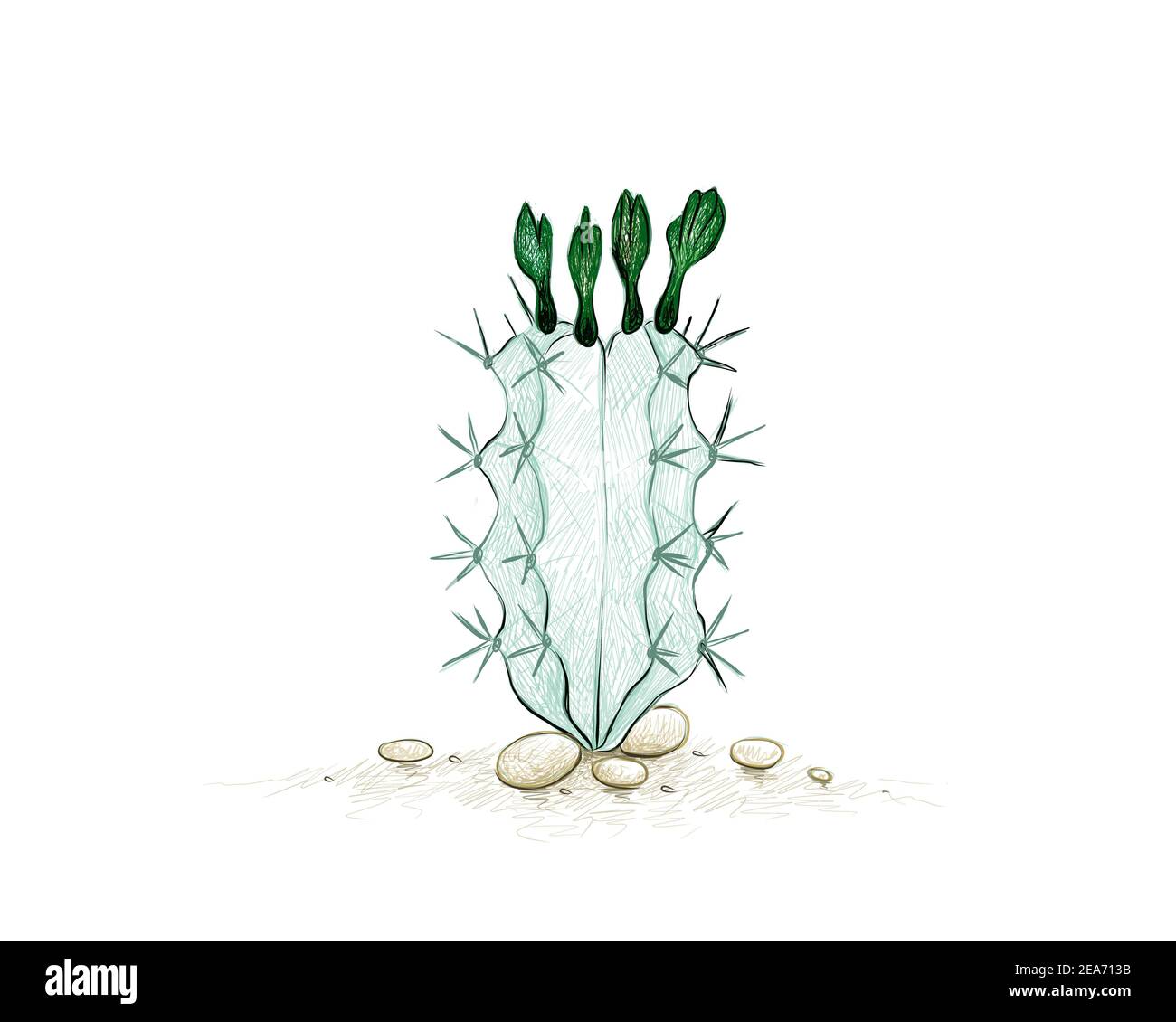Illustration Hand Drawn Sketch of Stenocereus Cactus with Flowers. A Succulent Plants with Sharp Thorns for Garden Decoration. Stock Photo