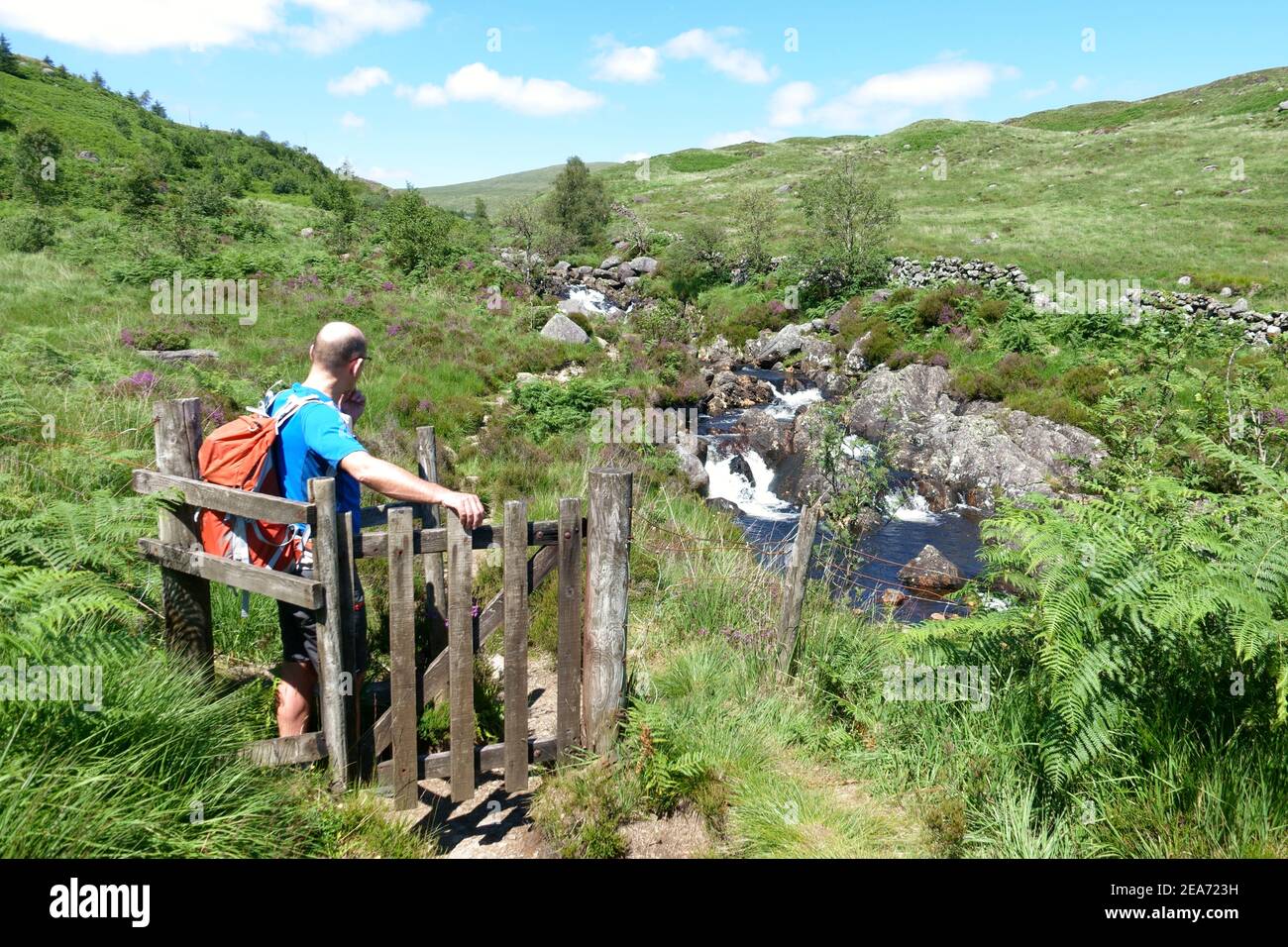 Man going through a gate at the side of the Buchan burn on the route to The Merrick hill through the Galloway Forest Stock Photo