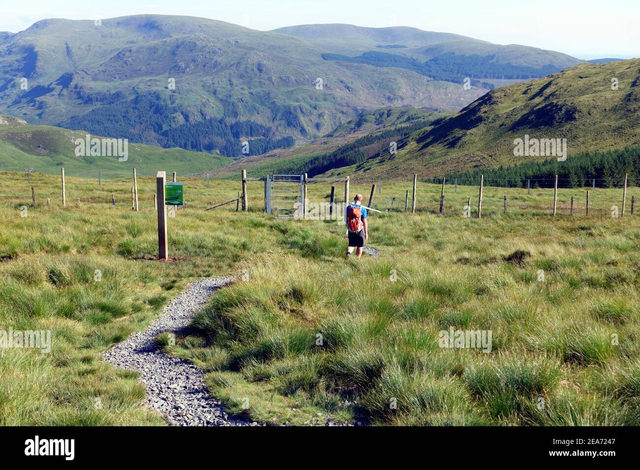 Man walking towards a deer fence on the descent of The Merrick towards Glen Trool in the Galloway hills Stock Photo