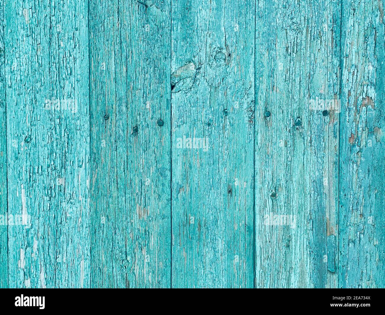 Green mint painted wood board texture and background. Green mint