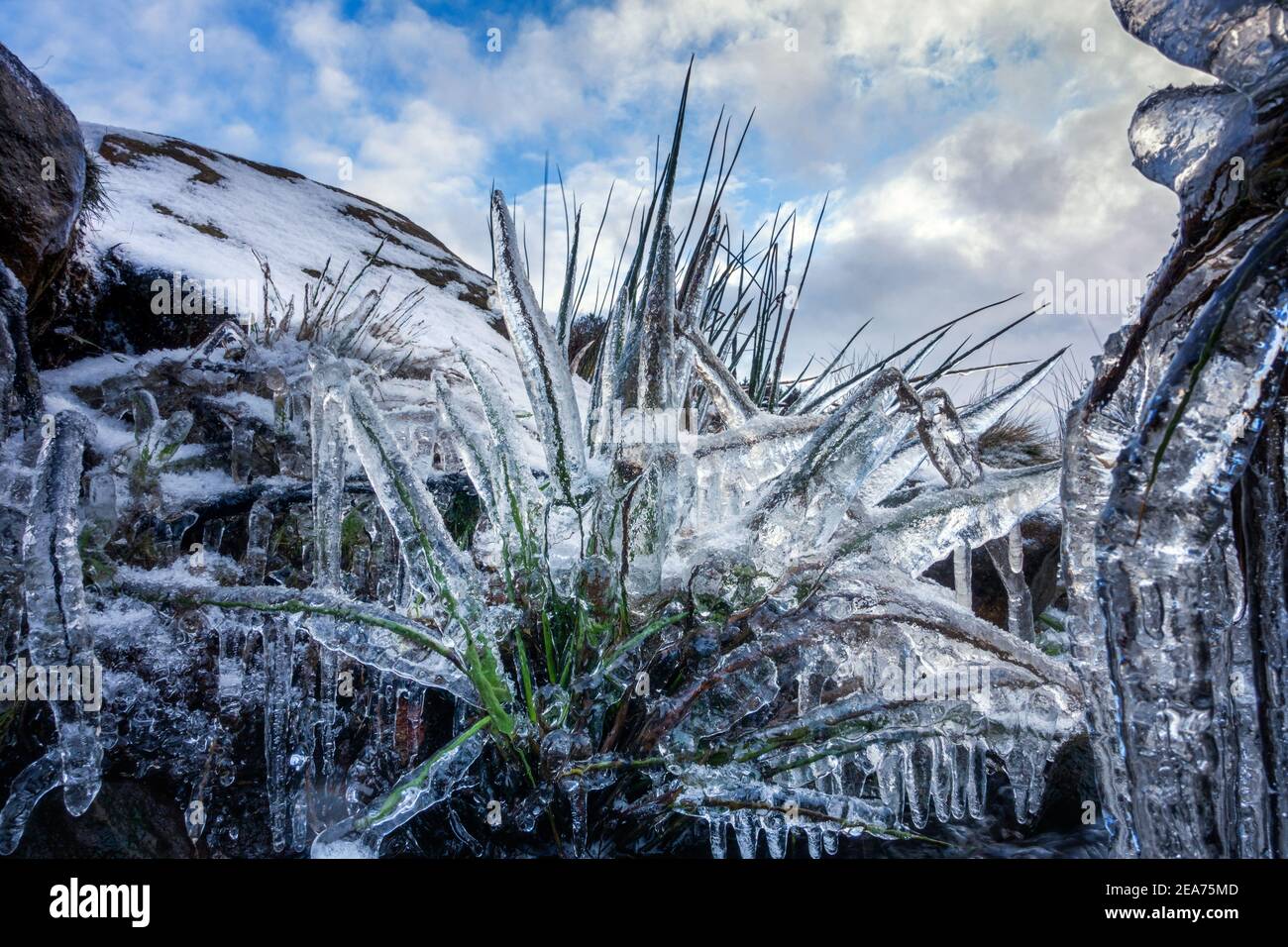 Burley Moor, BurleyinWharfedale, UK. 8 February 2021. UK weather