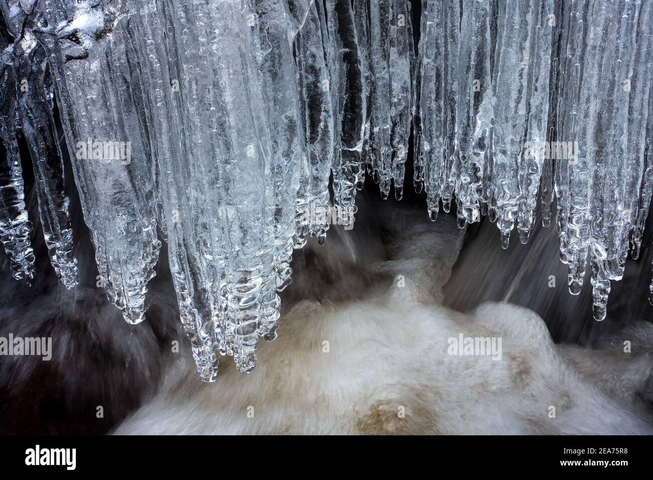 Burley Moor, BurleyinWharfedale, UK. 8 February 2021. UK weather