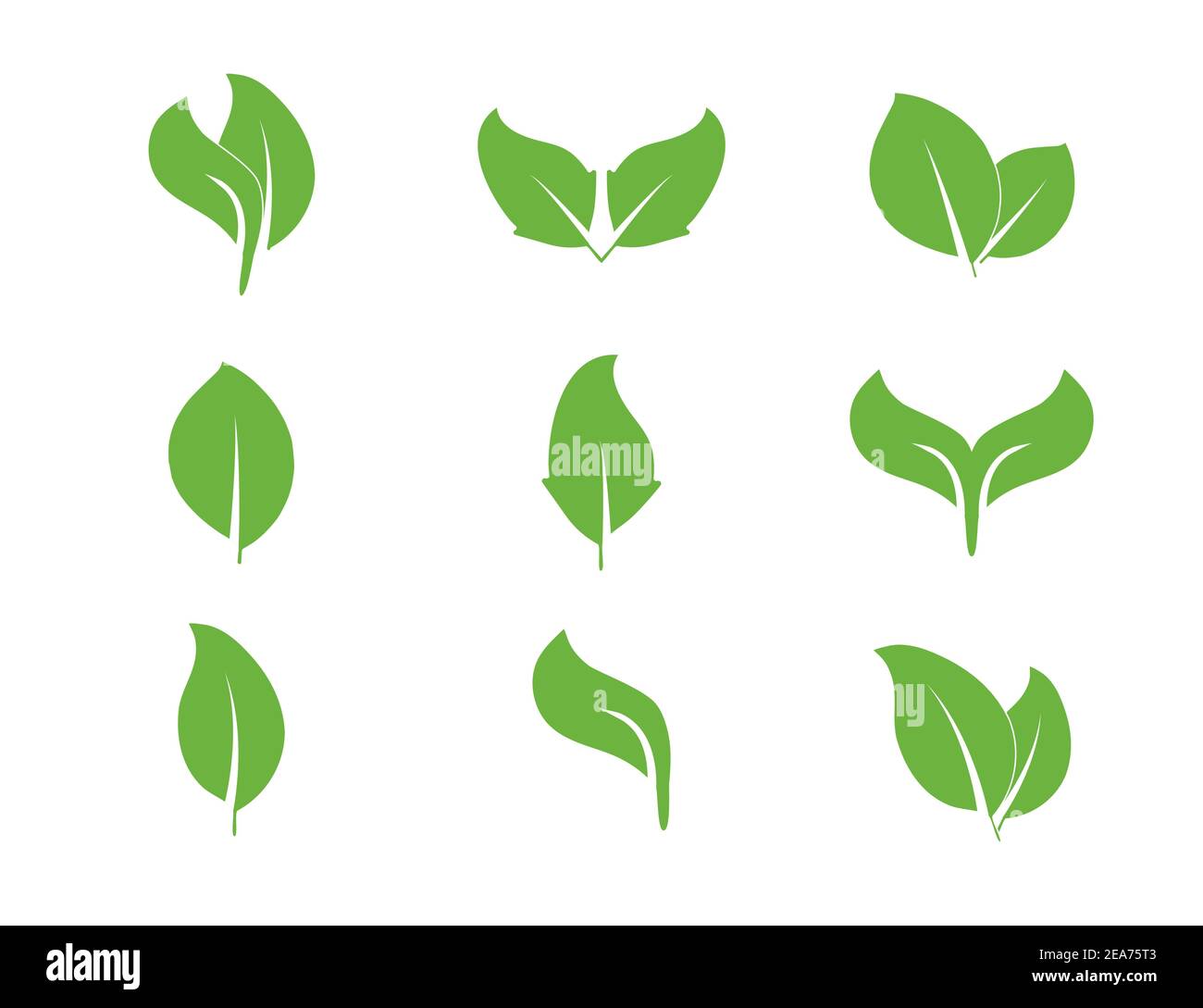Vector illustration. Eco, green leaves icon set Stock Vector Image ...