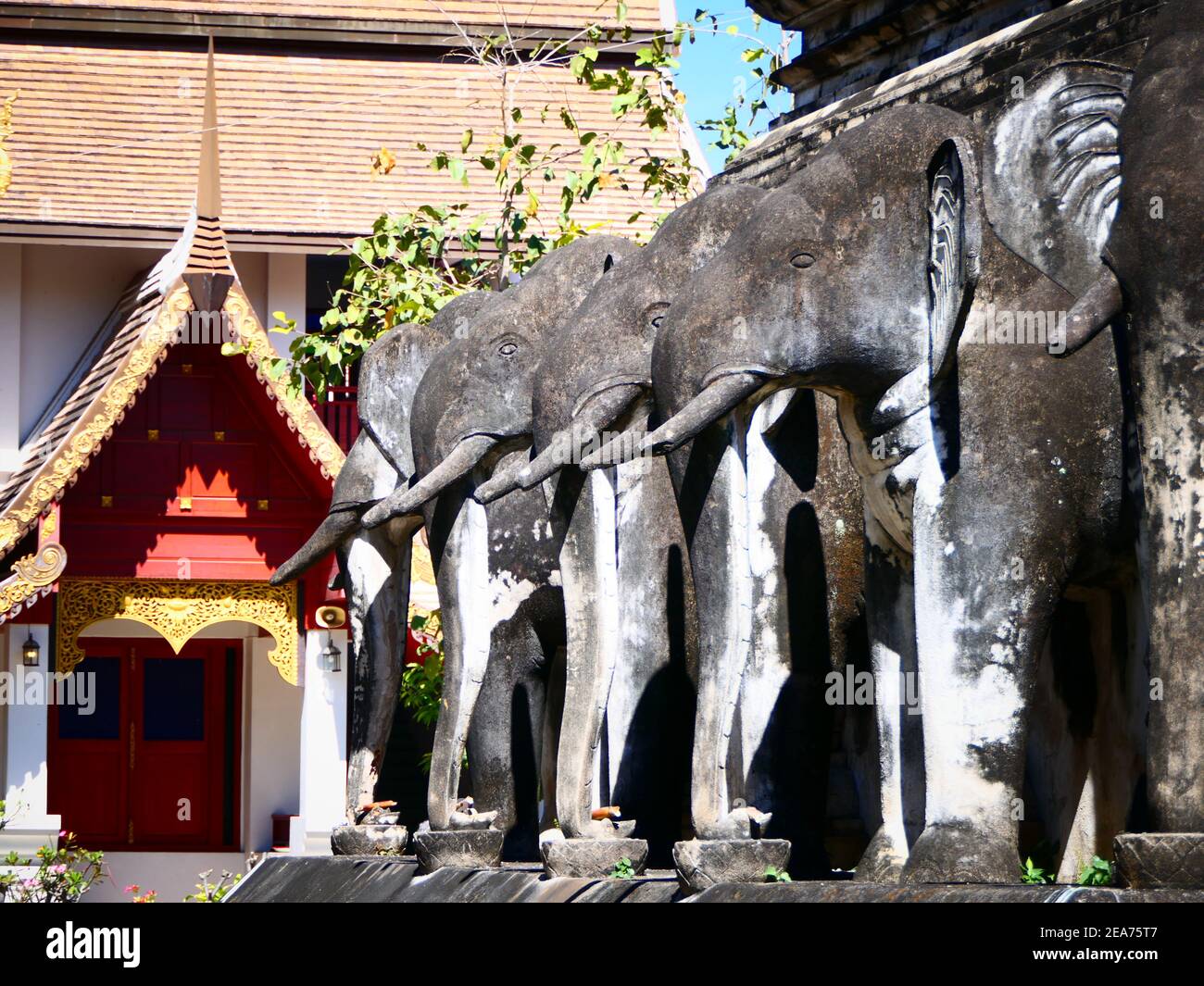 Wat Chiang Man, the elephant temple Chiangmai Stock Photo