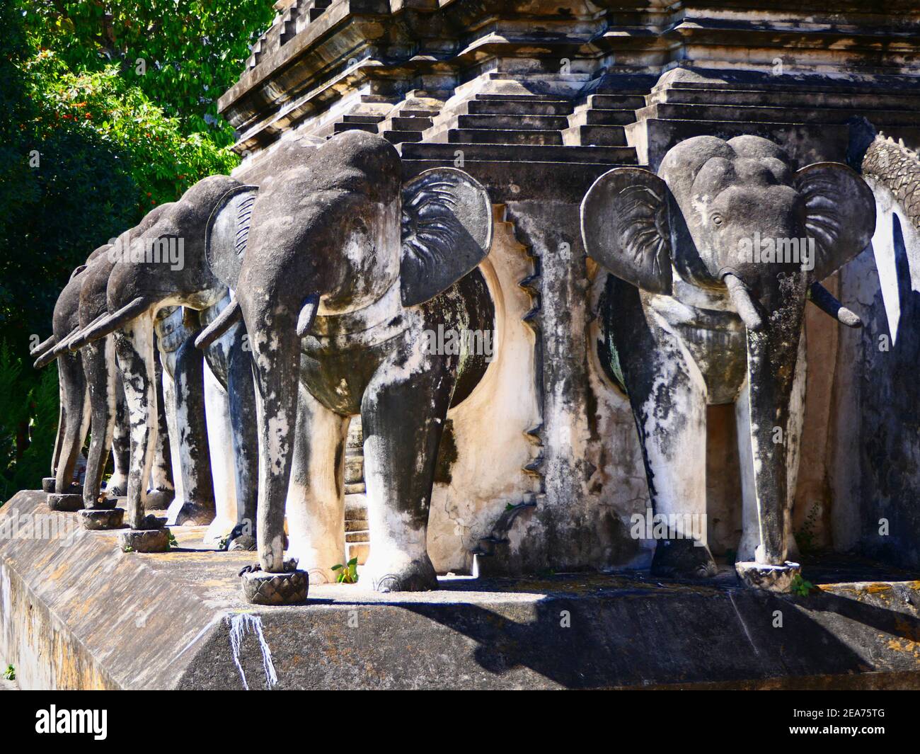 Wat Chiang Man, the elephant temple Chiangmai Stock Photo