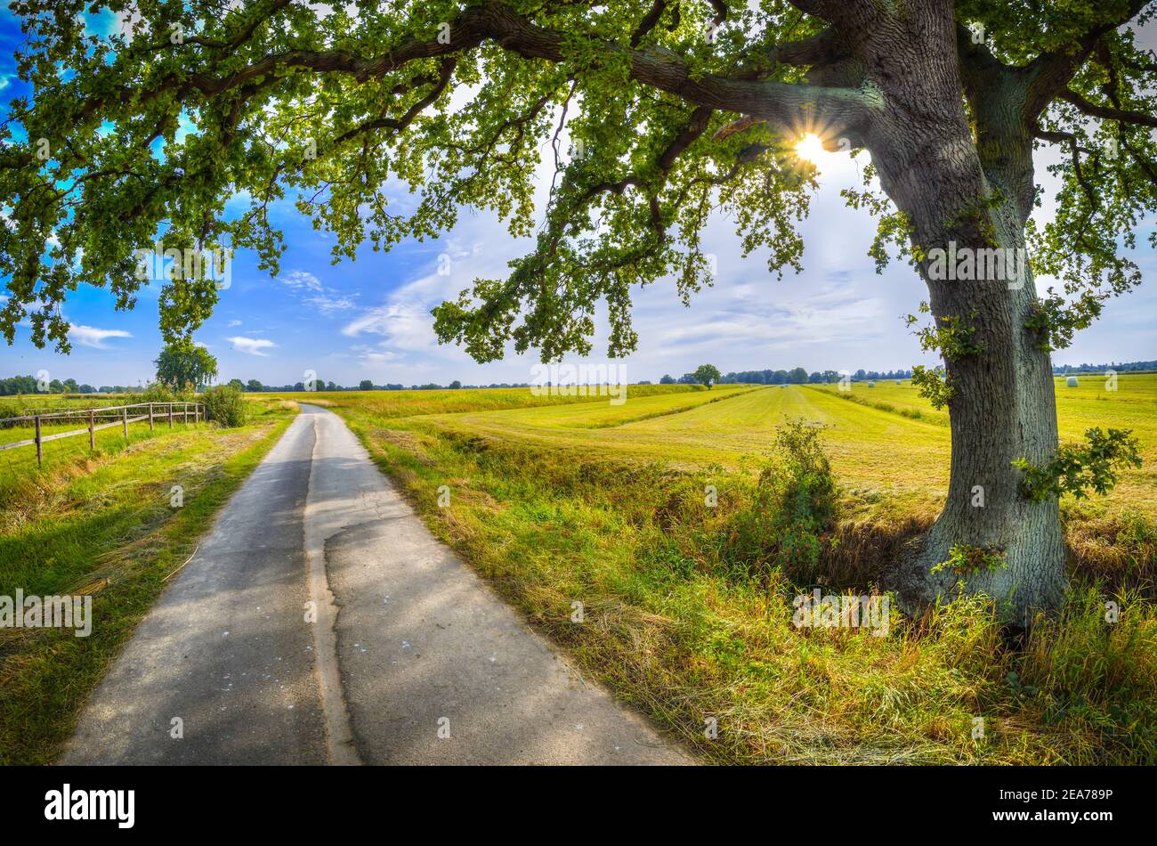 Nature Reserve Kirchwerder In Germany Stock Photo - Alamy